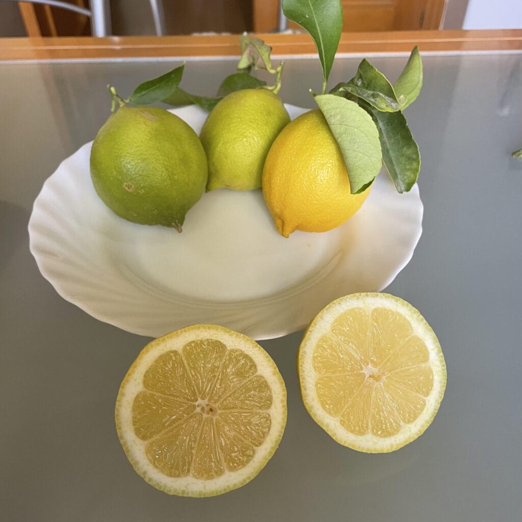 MilenioForteFrutero